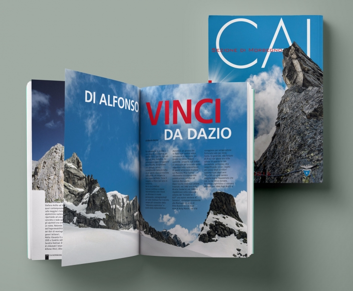 CAI2015