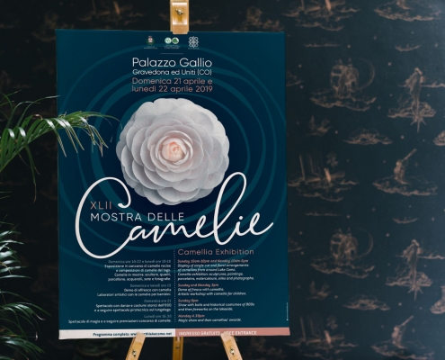 Mostra delle Camelie - locandina